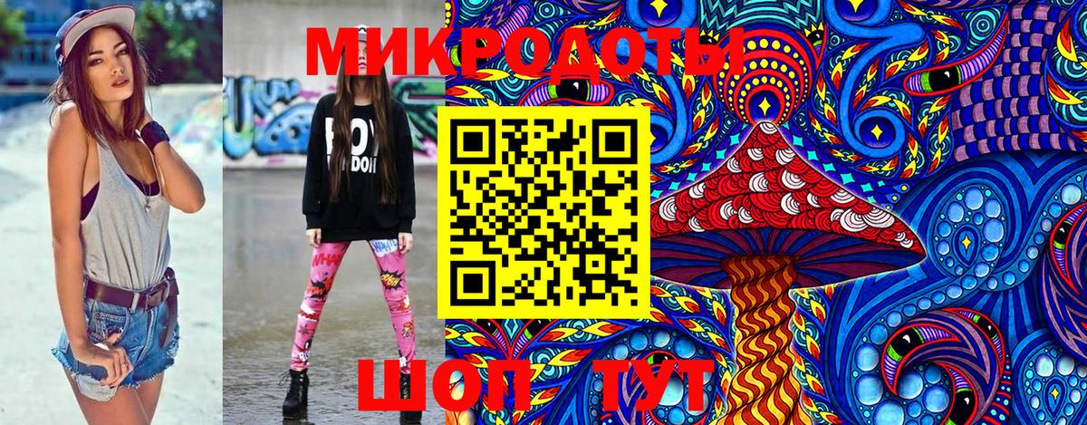 Псилоцибиновые грибы Psilocybe Нерюнгри