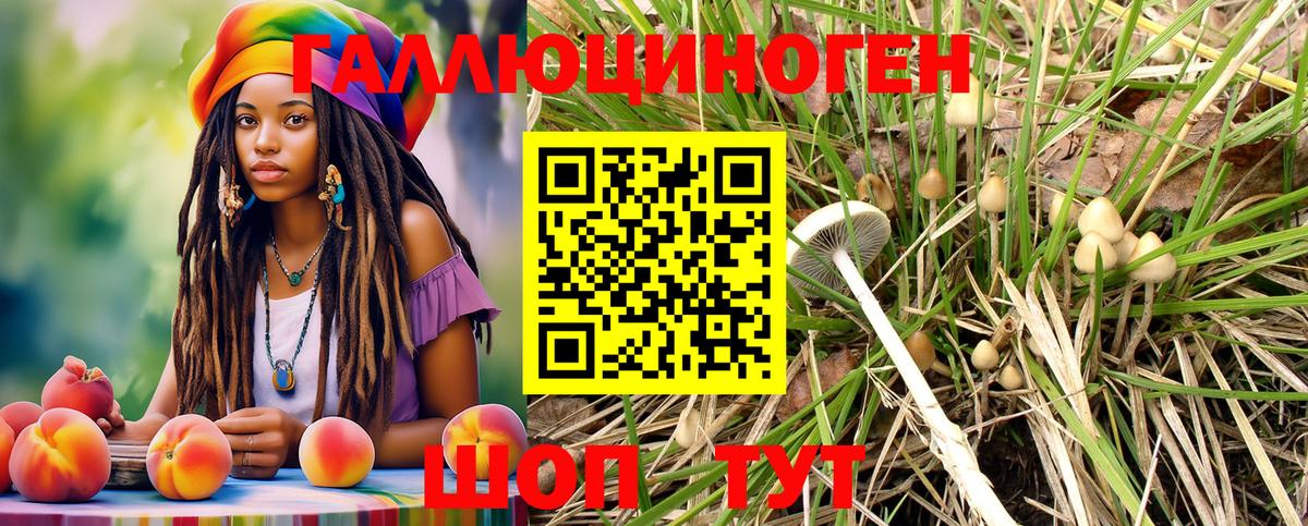 Нерюнгри  Галлюциногенные грибы мухоморы  Вход с VPN 